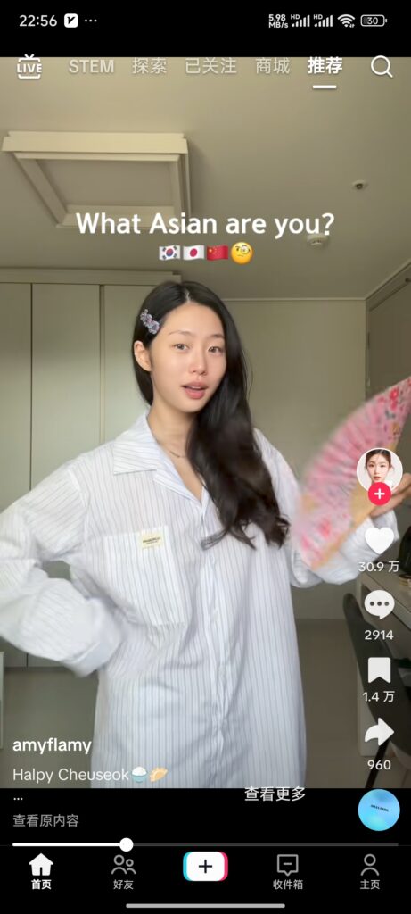 TikTok安装指南
